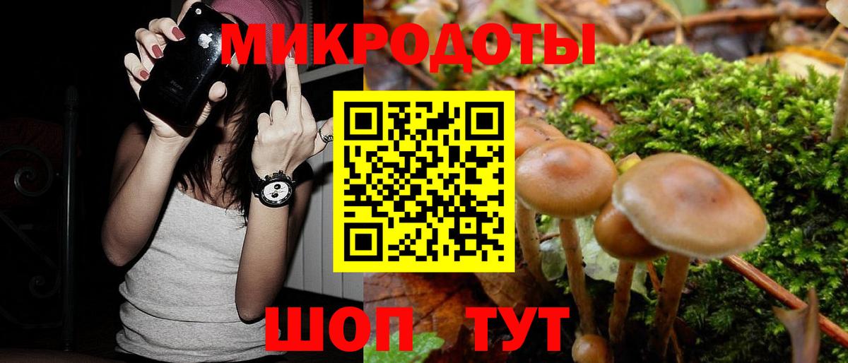 Галлюциногенные грибы Psilocybine cubensis  Вход с VPN  Десногорск 